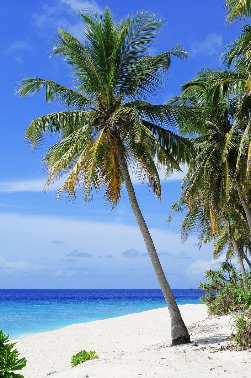 Maldives Beach Wedding